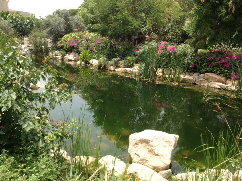 Al Barari construction — photo 39