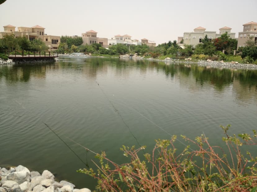 Al Barari construction — photo 31