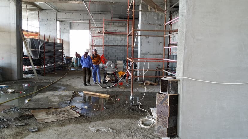 Palm Views - West construction — photo 11