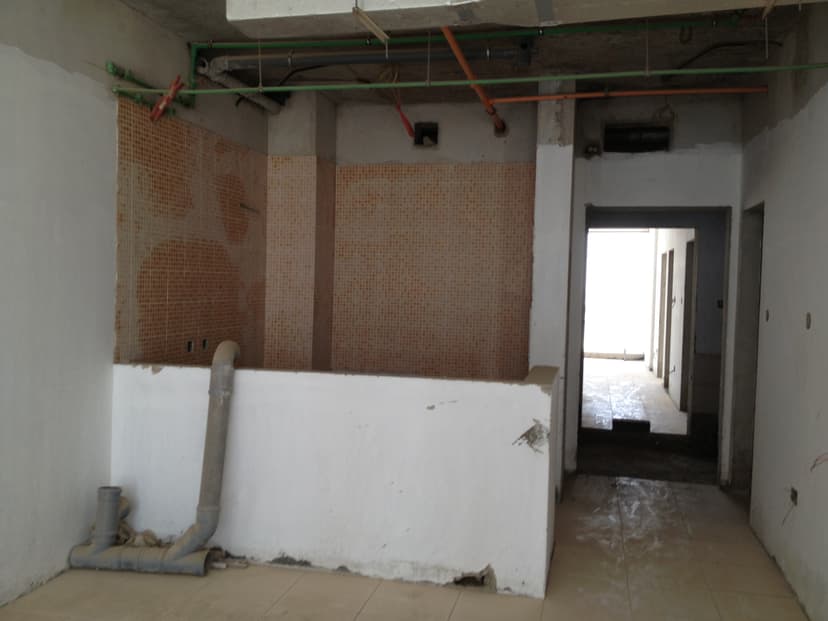 Royale Residence1 construction — photo 54