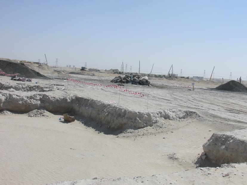 DAMAC Hills - Phoenix construction — photo 60