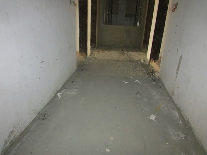 Botanica construction — photo 11