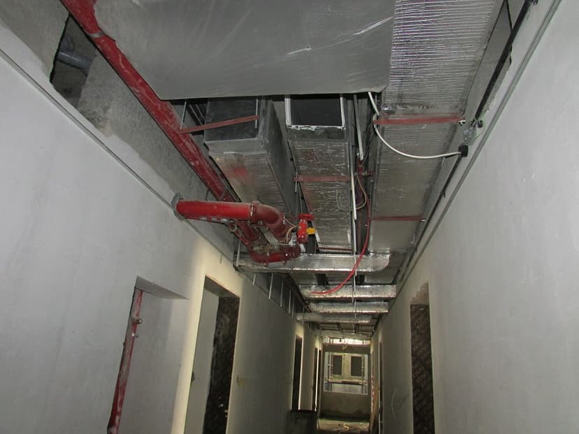 Botanica construction — photo 14
