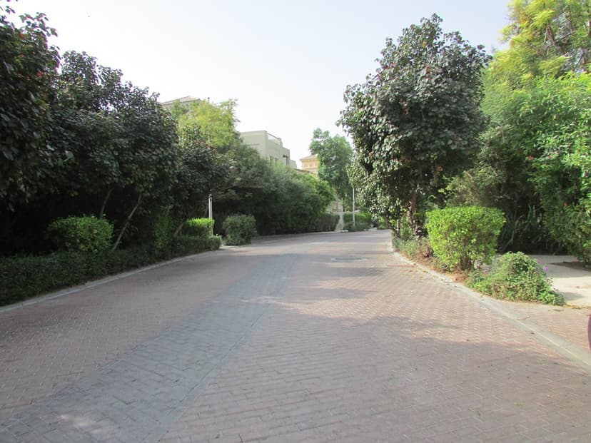 Al Barari construction — photo 8