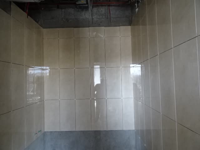 Azizi. Freesia construction — photo 31