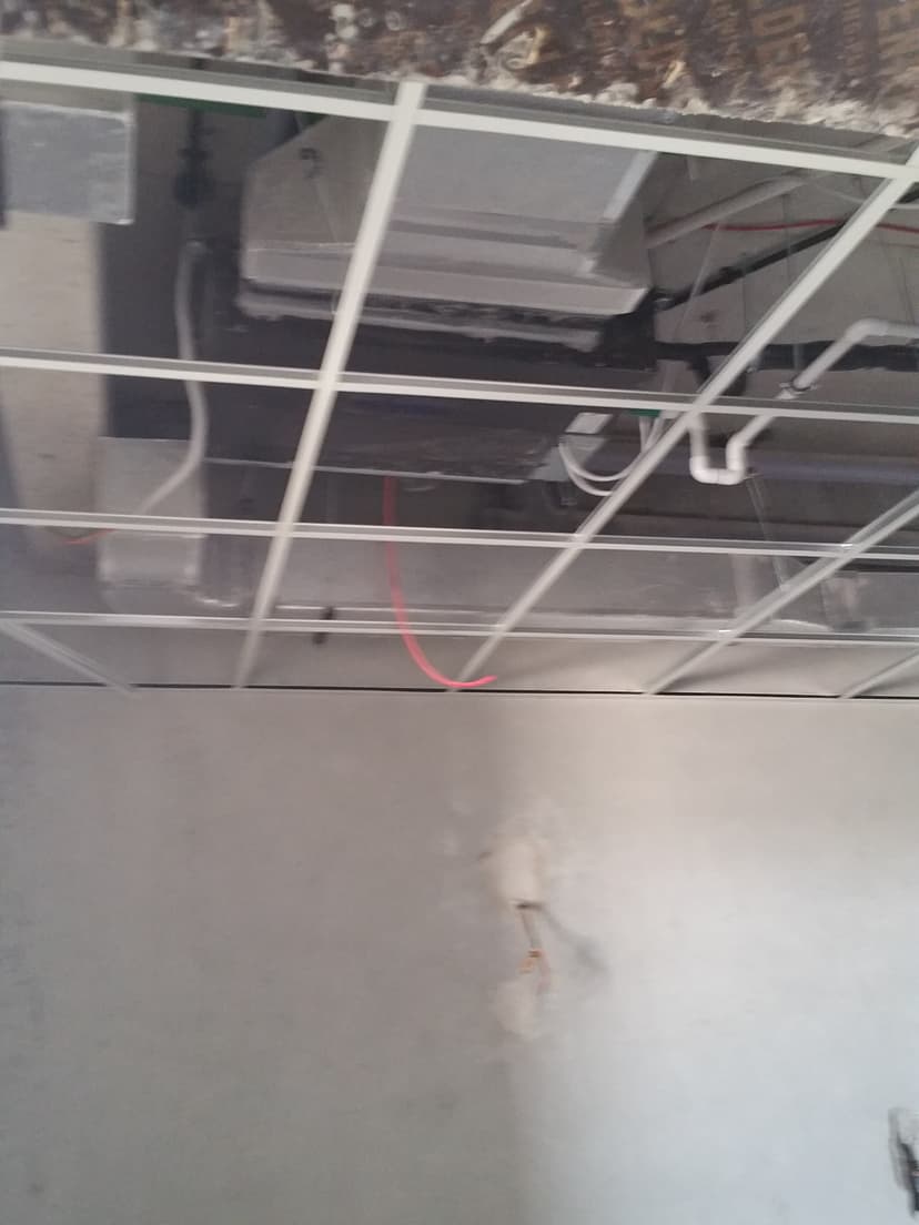 The Habitat construction — photo 7