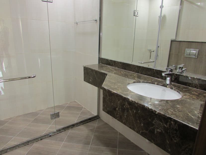 Botanica construction — photo 2