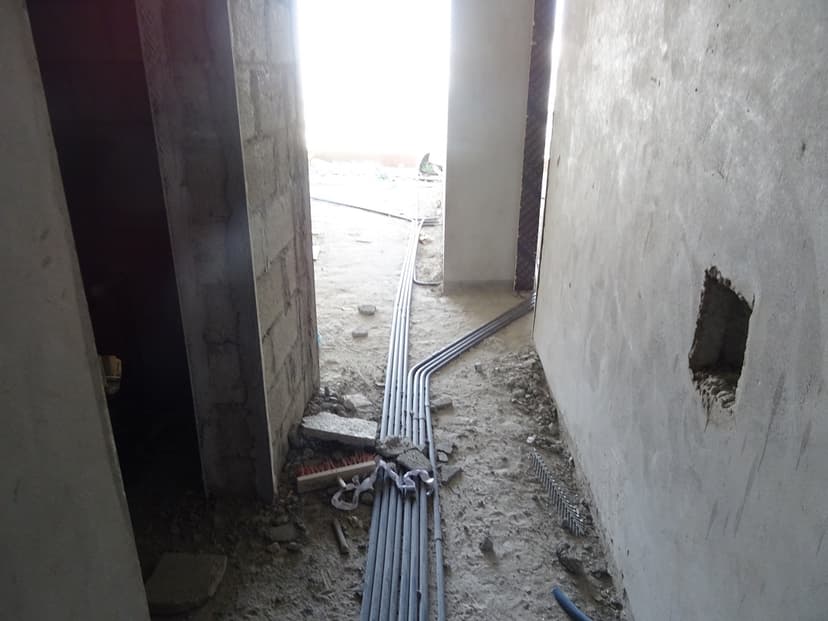 Eden Garden construction — photo 92