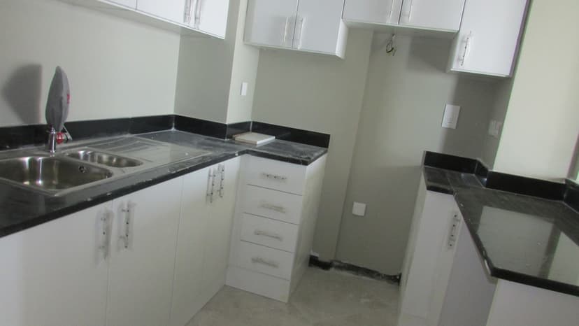 Axis Silver construction — photo 19