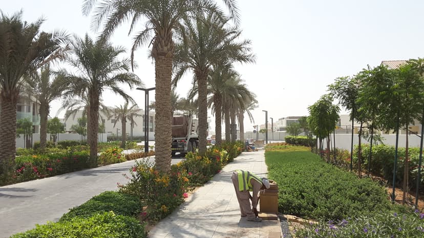 Mohammed Bin Rashid Al Maktoum City-district One Phase II Villas construction — photo 41