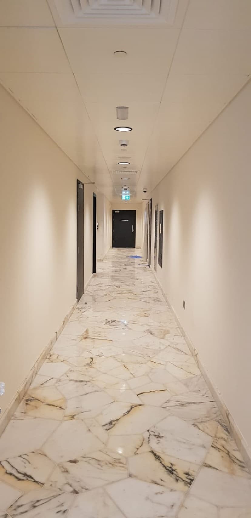 W Residences Dubai - The Palm construction — photo 35