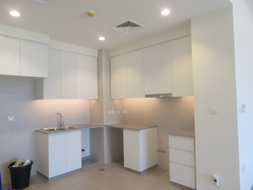 Urbana II construction — photo 17