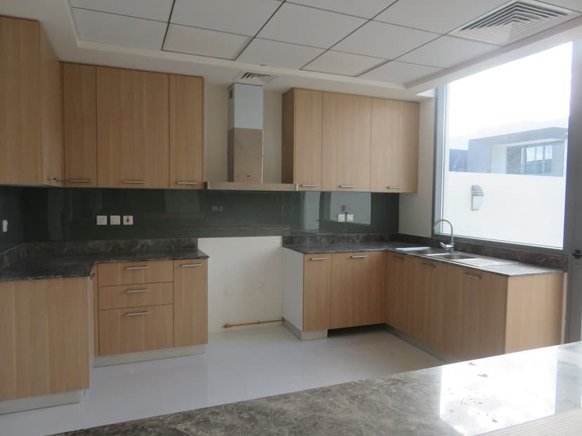 GardeniaTownHomes @ wasl gate construction — photo 28