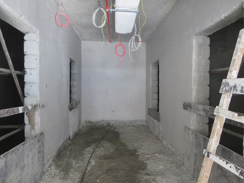 Pantheon Elysee construction — photo 42