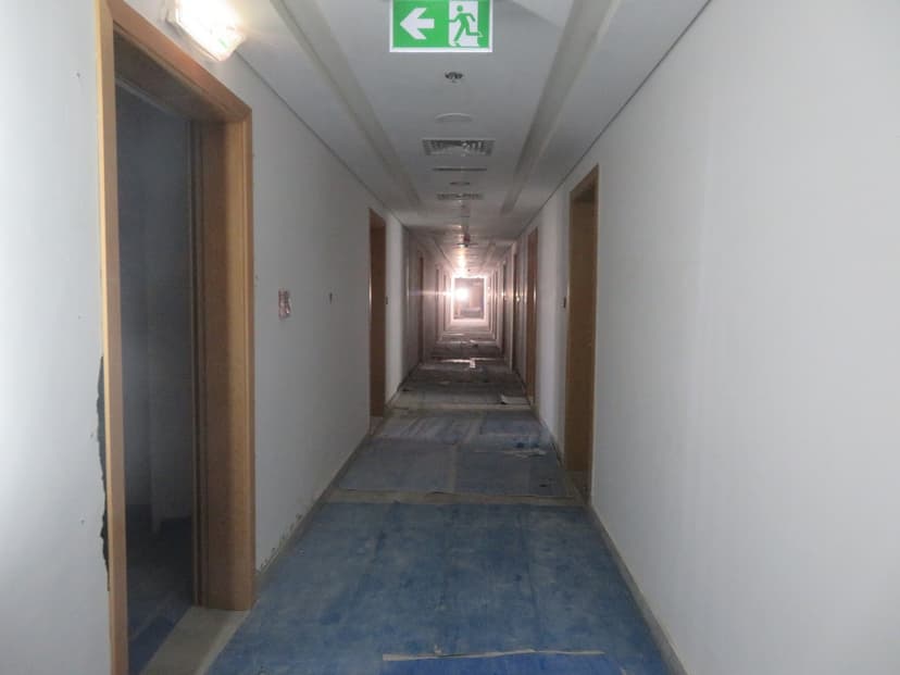 Pantheon Elysee construction — photo 14