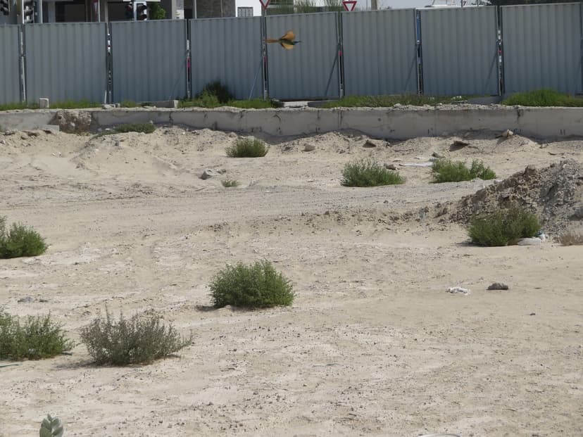 Azizi Park Avenue construction — photo 30