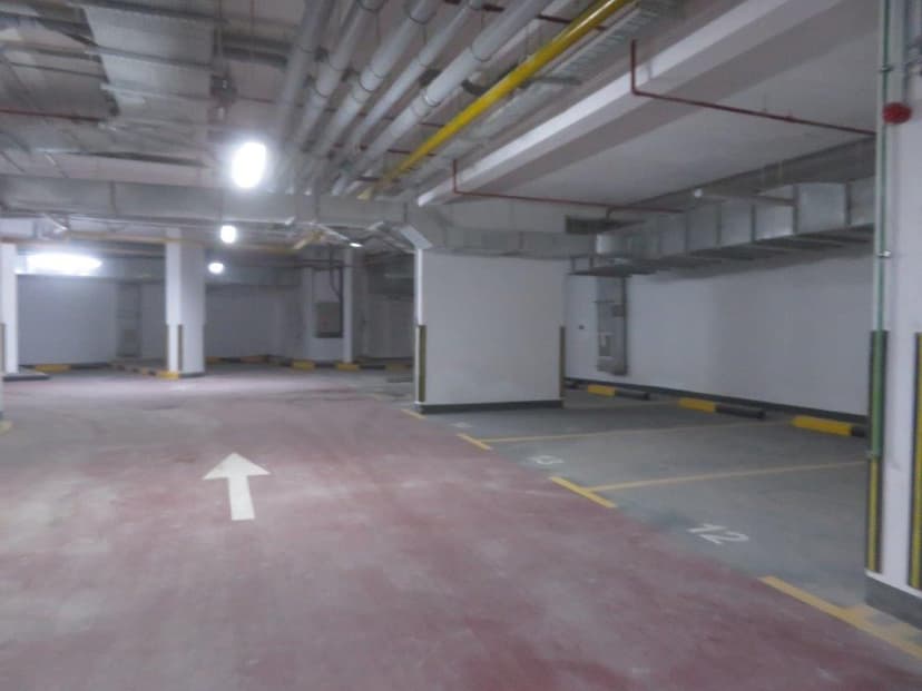 Park Vista construction — photo 23