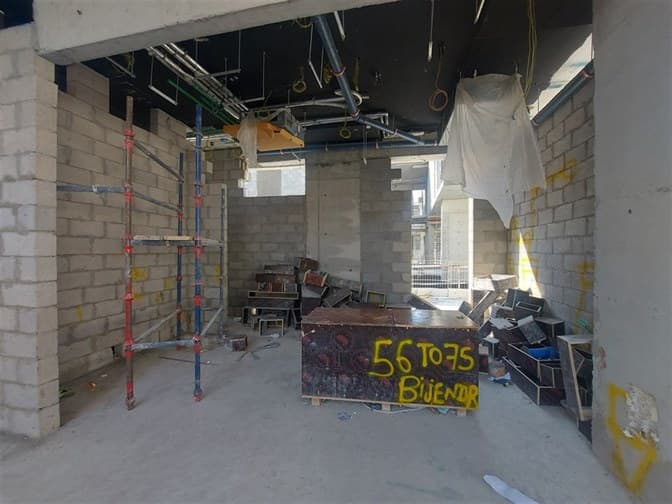 Elysian Mansions construction — photo 62