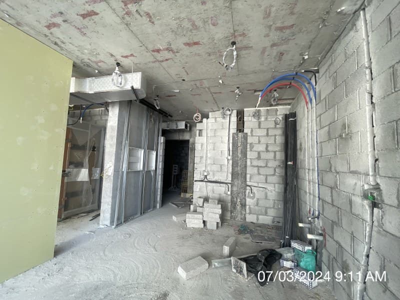 Creek Palace construction — photo 25