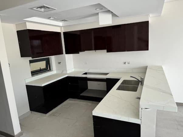 DAMAC Hills - Silver Springs 3 construction — photo 13