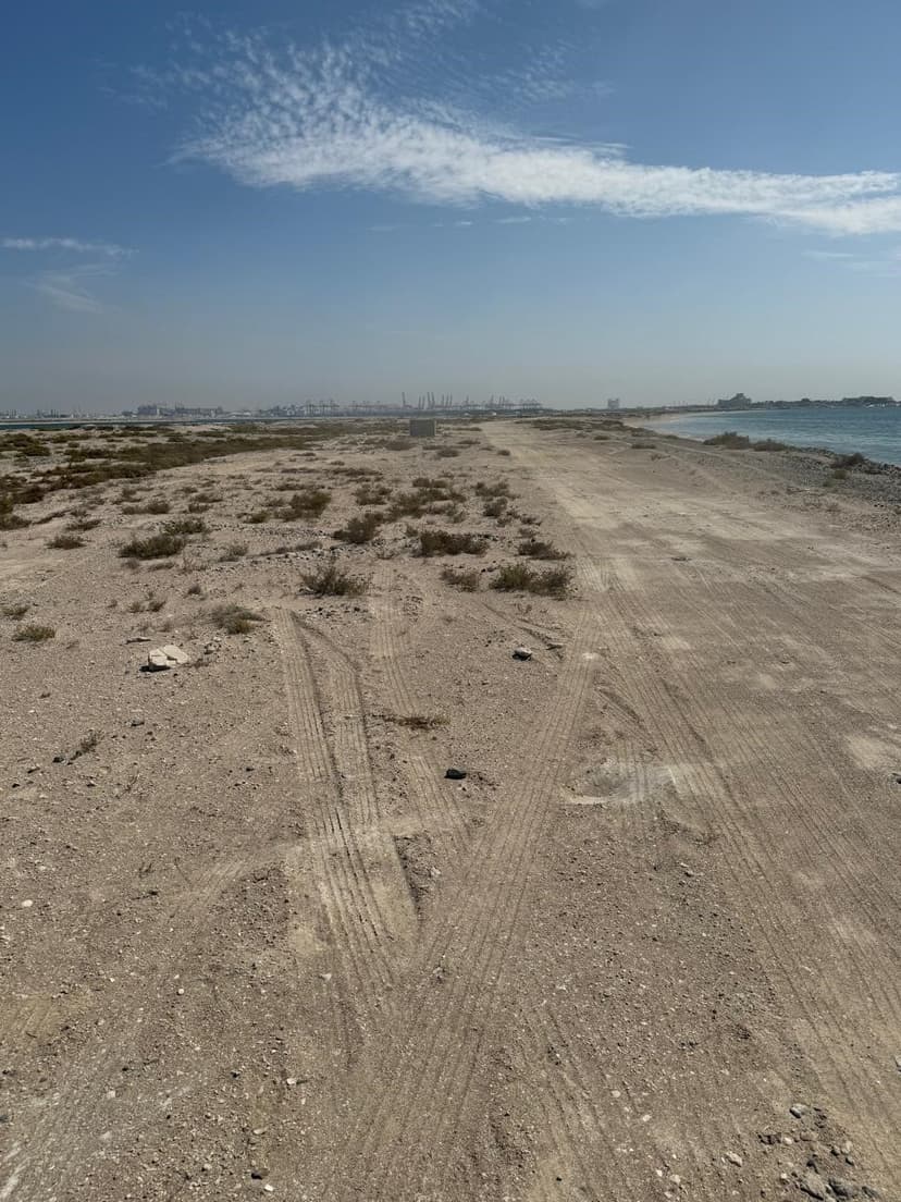 Palm Jebel Ali - Frond A construction — photo 27
