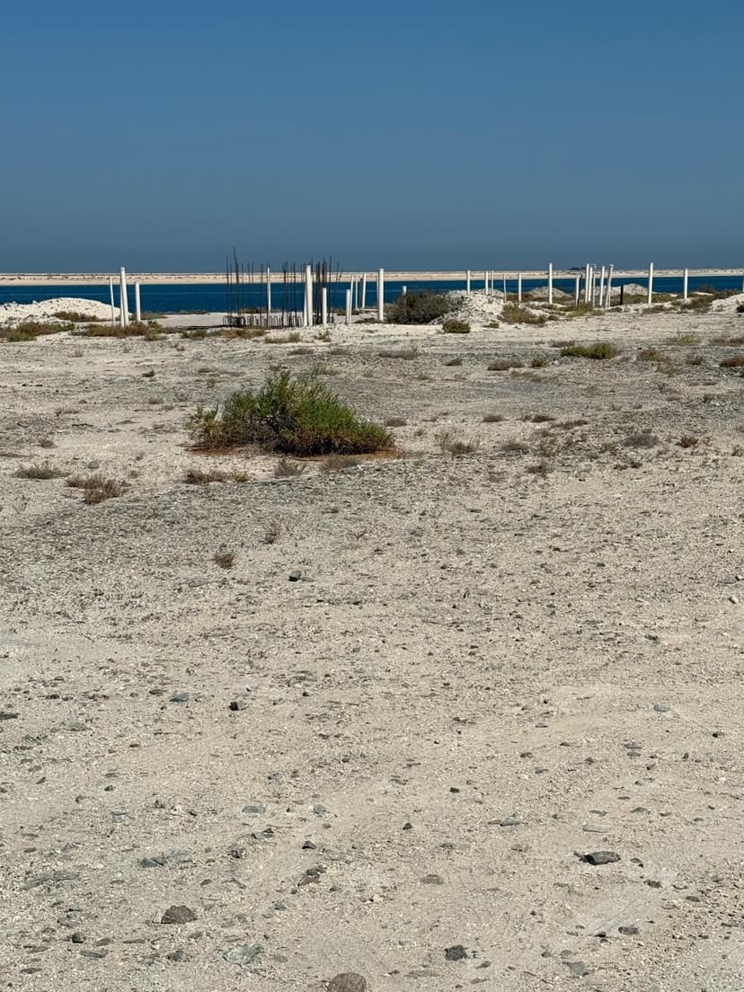 Palm Jebel Ali - Frond F construction — photo 26