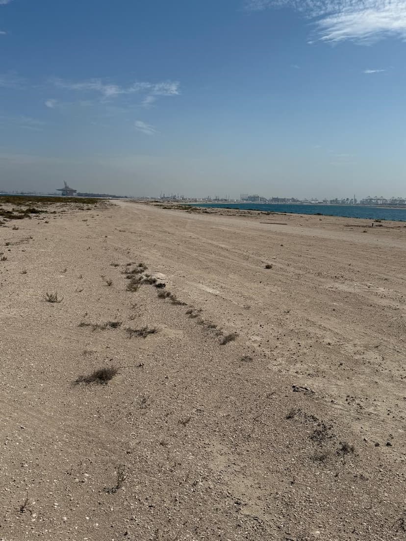 Palm Jebel Ali - Frond D construction — photo 24