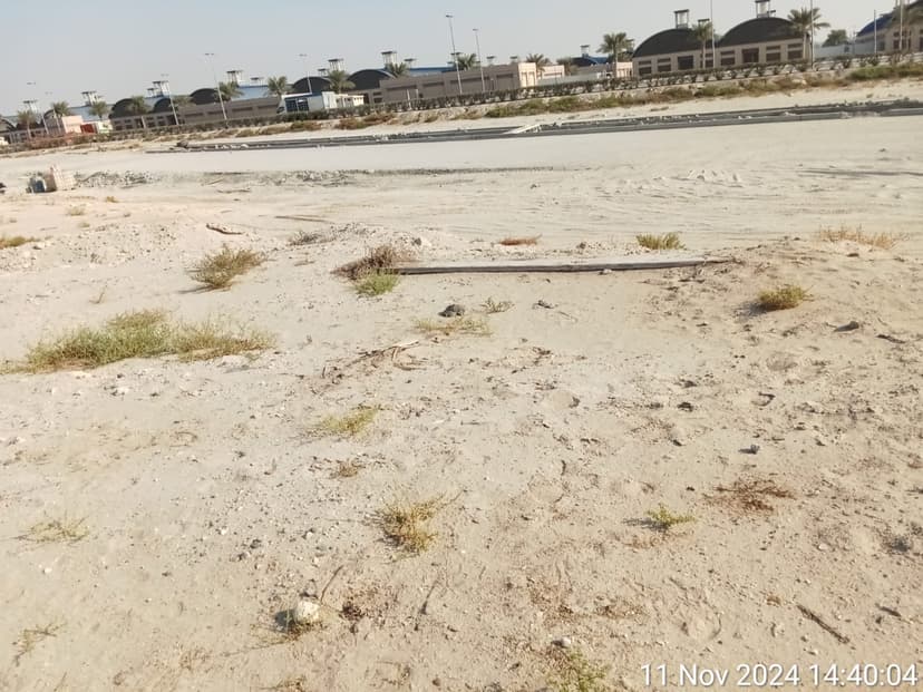 Flora Isle construction — photo 18