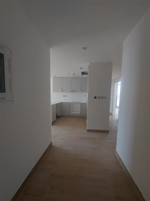 Barari Views construction — photo 31