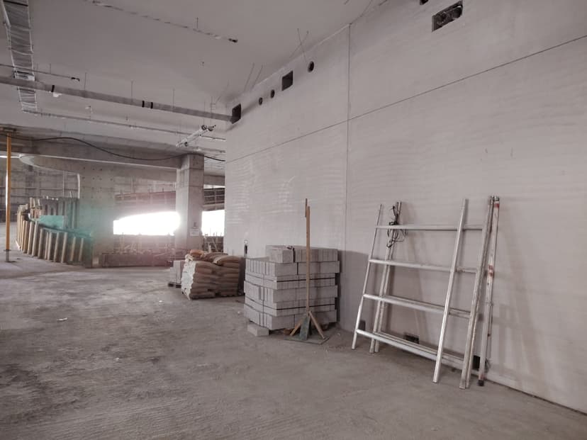 DG1 Living construction — photo 24
