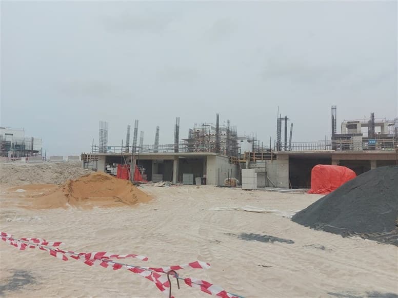 The Oasis - Palmiera construction — photo 58