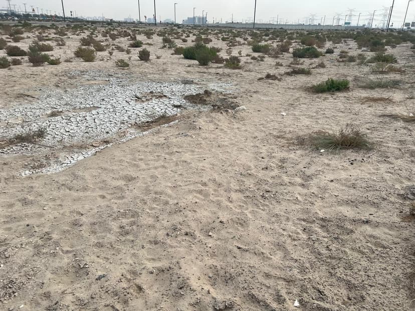 Hills View at Wasl Gate construction — photo 6