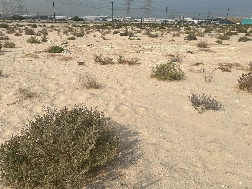 Hills View at Wasl Gate construction — photo 7
