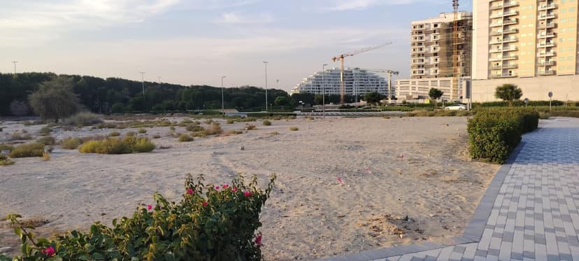 Divine Al Barari construction — photo 6
