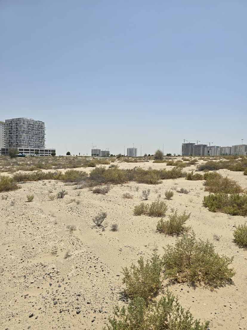 Samana Barari Avenue construction — photo 12