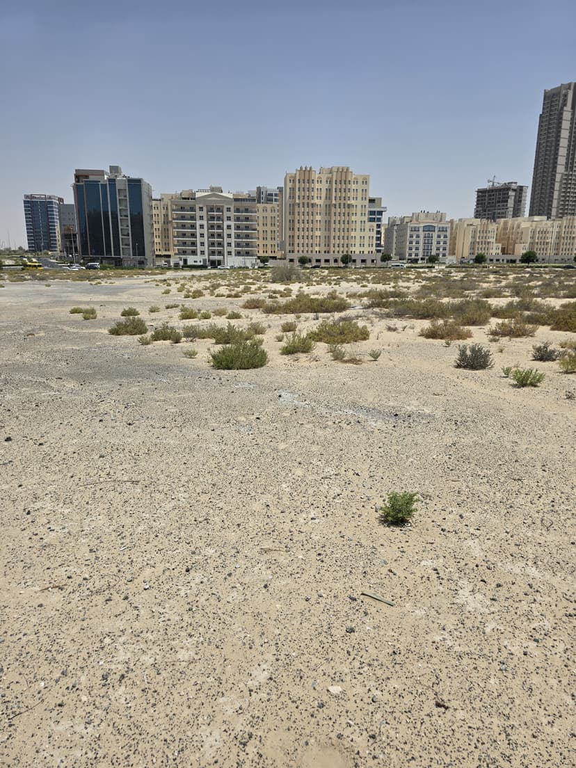 Samana Barari Avenue construction — photo 13