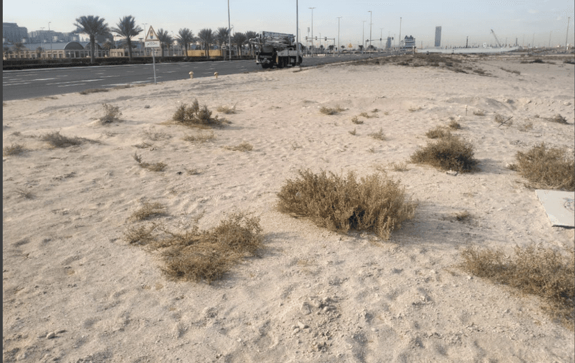 House of Well construction — photo 6