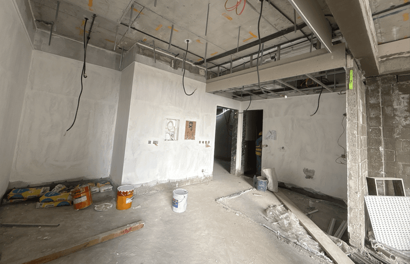 DG1 Living construction — photo 18