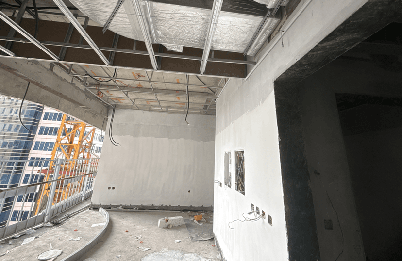 DG1 Living construction — photo 12
