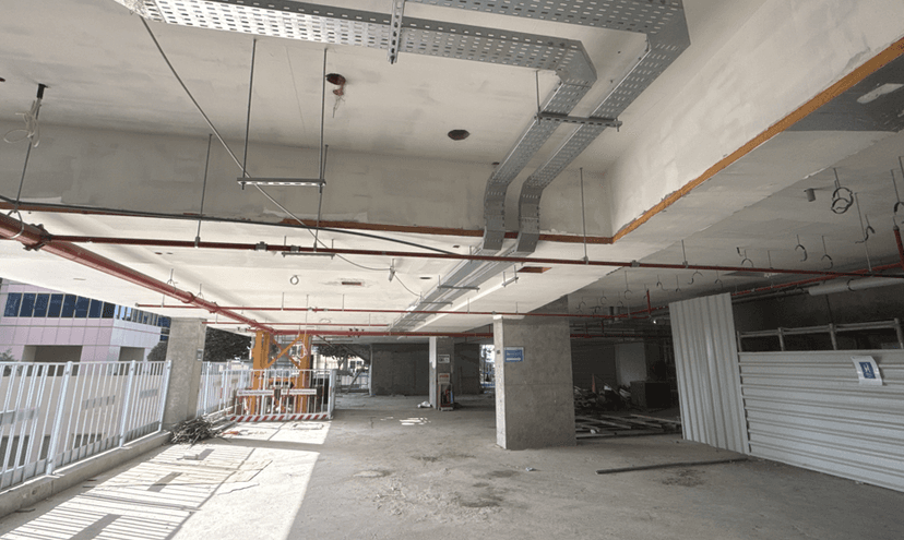 DG1 Living construction — photo 16