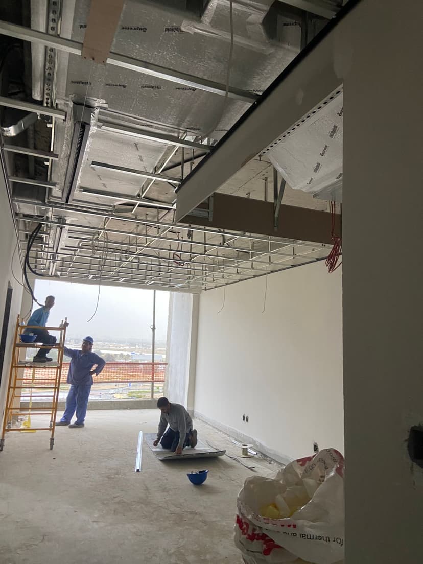 Tulip Oasis 11 construction — photo 10