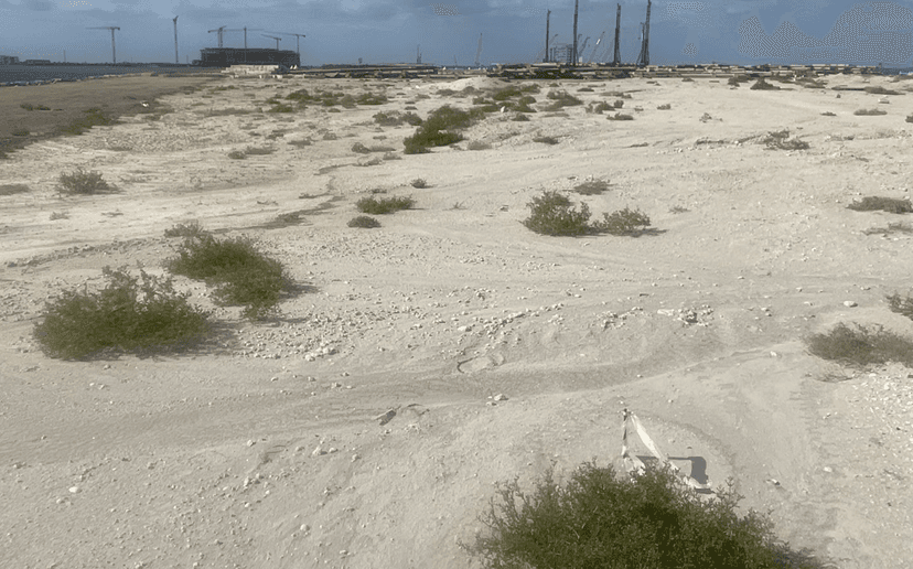 Bay Grove Residences D - Dubai Islands construction — photo 7